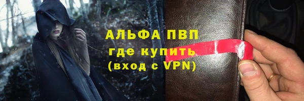 крисы Каменка