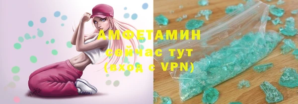 крисы Каменка