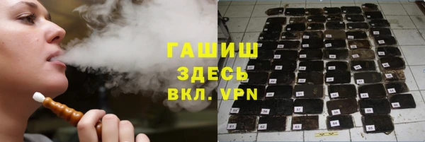 крисы Каменка