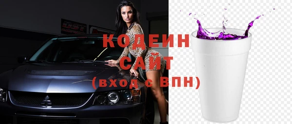 крисы Каменка