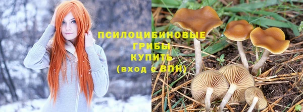 крисы Каменка