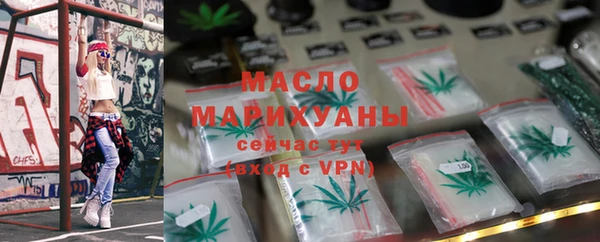 крисы Каменка