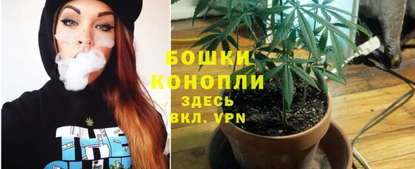 крисы Каменка