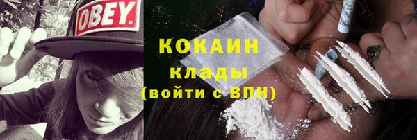 крисы Каменка